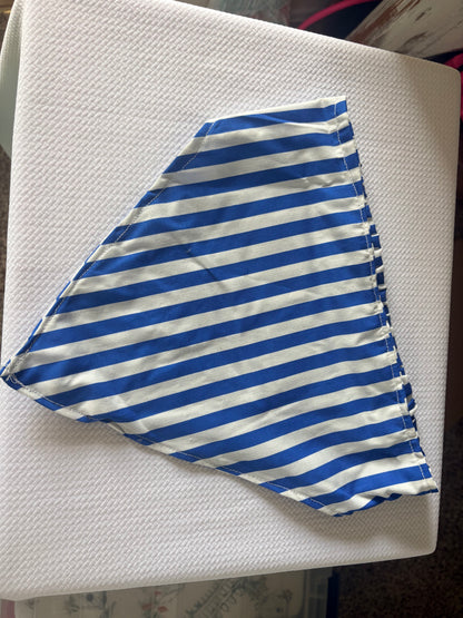 Large dog bandana